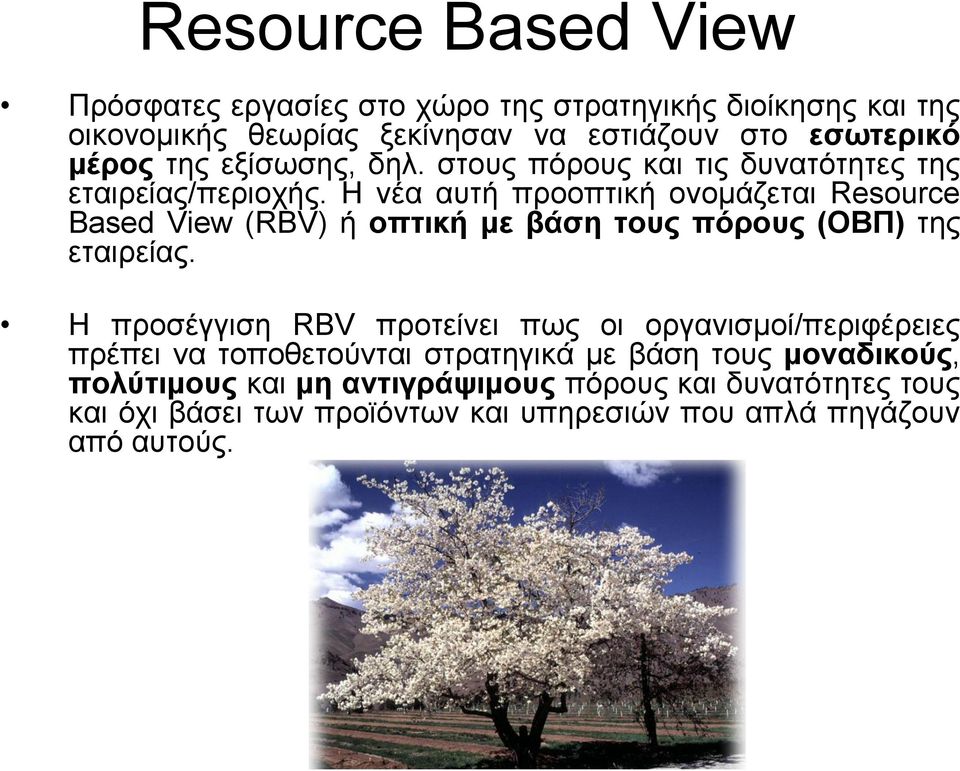 Ζ λέα απηή πξννπηηθή νλνκάδεηαη Resource Based View (RBV) ή οπηική με βάζη ηοσς πόροσς (ΟΒΠ) ηεο εηαηξείαο.