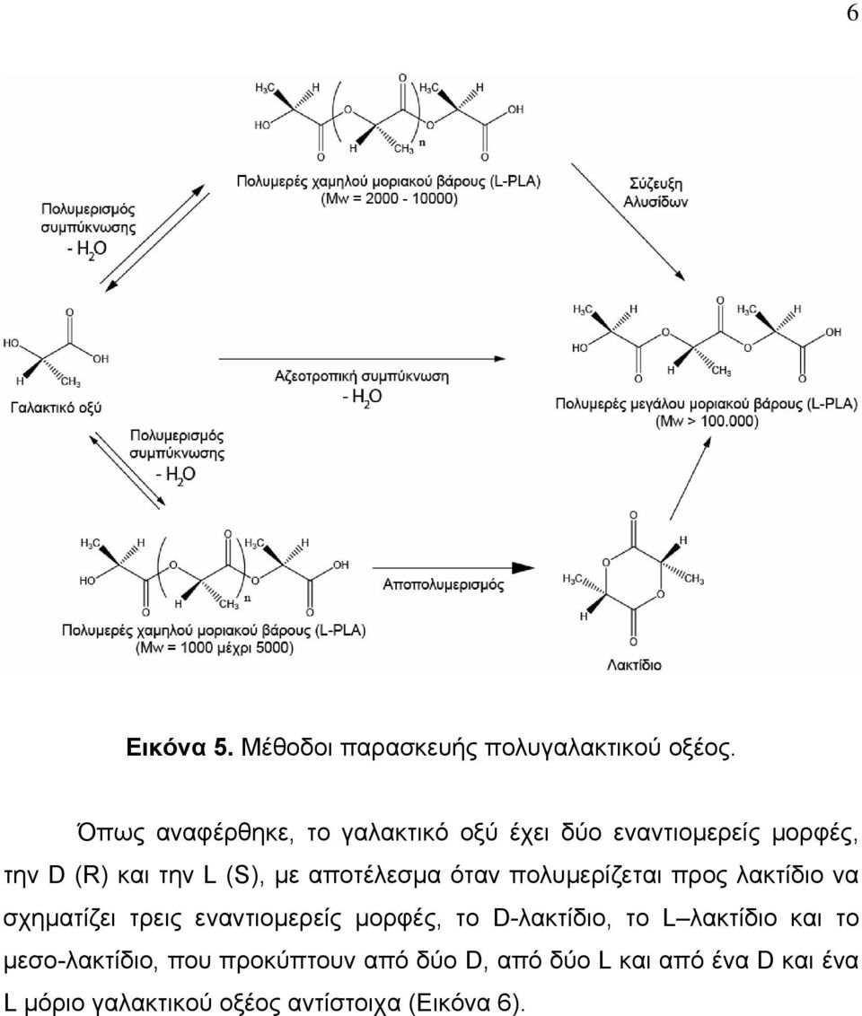 αποτέλεσµα όταν πολυµερίζεται προς λακτίδιο να σχηµατίζει τρεις εναντιοµερείς µορφές, το