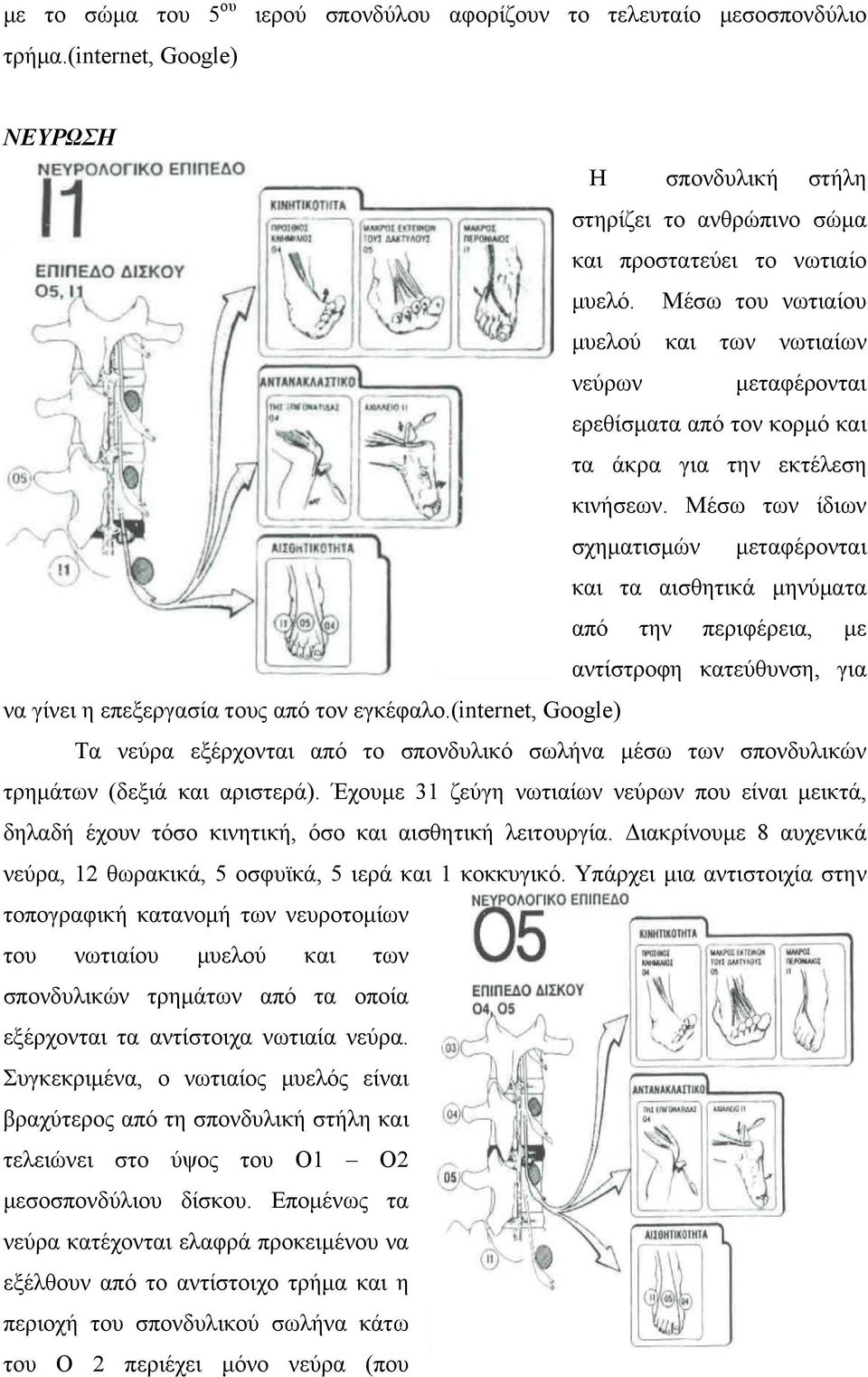 Μέσω των ίδιων σχηματισμών μεταφέρονται και τα αισθητικά μηνύματα από την περιφέρεια, με αντίστροφη κατεύθυνση, για να γίνει η επεξεργασία τους από τον εγκέφαλο.