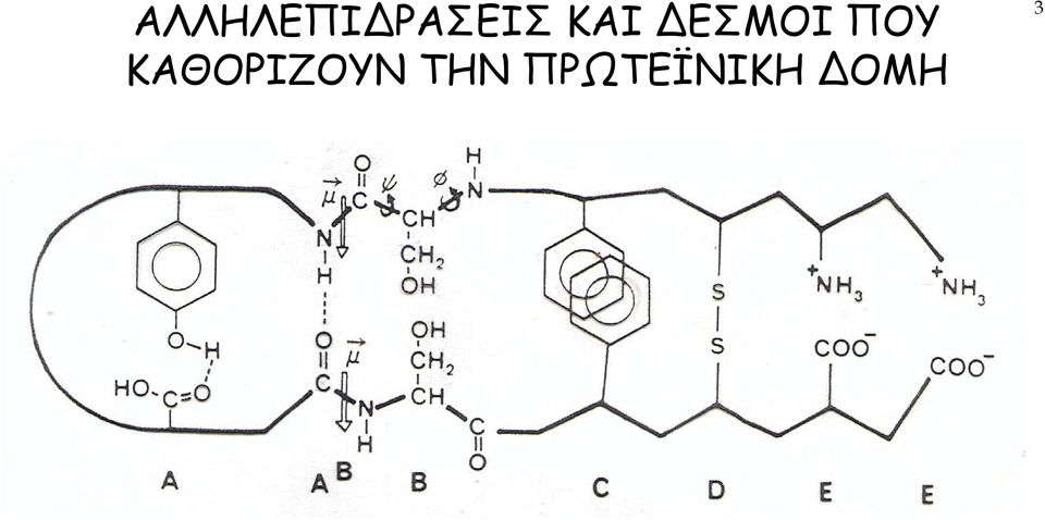 ΚΑΘΟΡΙΖΟΥΝ ΤΗΝ