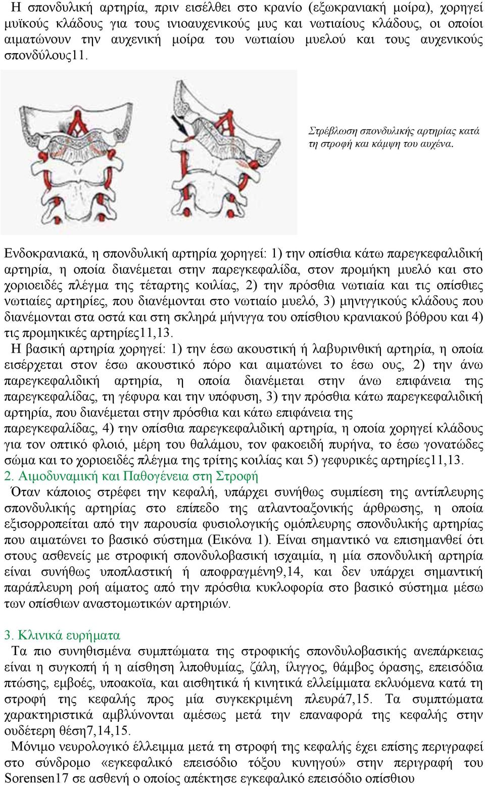 Δλδνθξαληαθά, ε ζπνλδπιηθή αξηεξία ρνξεγεί: 1) ηελ νπίζζηα θάησ παξεγθεθαιηδηθή αξηεξία, ε νπνία δηαλέκεηαη ζηελ παξεγθεθαιίδα, ζηνλ πξνκήθε κπειό θαη ζην ρνξηνεηδέο πιέγκα ηεο ηέηαξηεο θνηιίαο, 2)