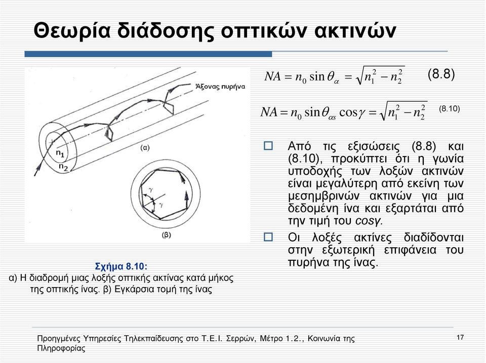 β) Εγκάρσια τομή της ίνας Από τις εξισώσεις (8.8) και (8.