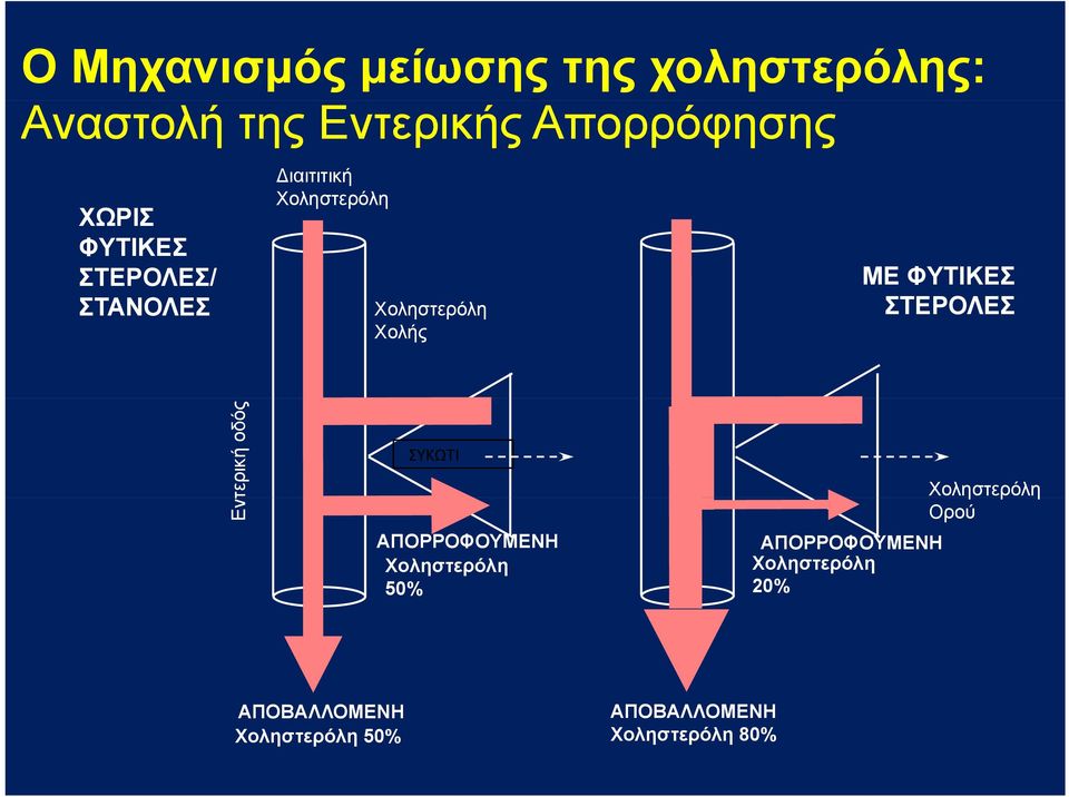 ΣΤΕΡΟΛΕΣ Εντ τερική οδός ΣΥΚΩΤΙ ΑΠΟΡΡΟΦΟΥΜΕΝΗ Χοληστερόλη 50% Χοληστερόλη η Ορού