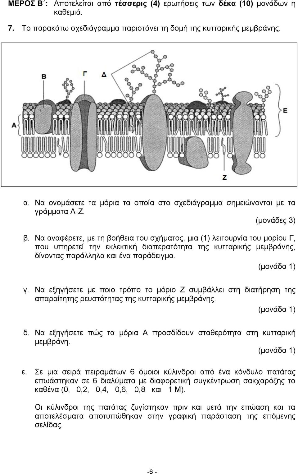 Να εμεγήζεηε κε πνην ηξόπν ην κόξην Ε ζπκβάιιεη ζηε δηαηήξεζε ηεο απαξαίηεηεο ξεπζηόηεηαο ηεο θπηηαξηθήο κεκβξάλεο. δ. Να εμεγήζεηε πώο ηα κόξηα Α πξνζδίδνπλ ζηαζεξόηεηα ζηε θπηηαξηθή κεκβξάλε. ε. ε κηα ζεηξά πεηξακάησλ 6 όκνηνη θύιηλδξνη από έλα θόλδπιν παηάηαο επσάζηεθαλ ζε 6 δηαιύκαηα κε δηαθνξεηηθή ζπγθέληξσζε ζαθραξόδεο ην θαζέλα (0, 0,2, 0,4, 0,6, 0,8 θαη 1 Μ).