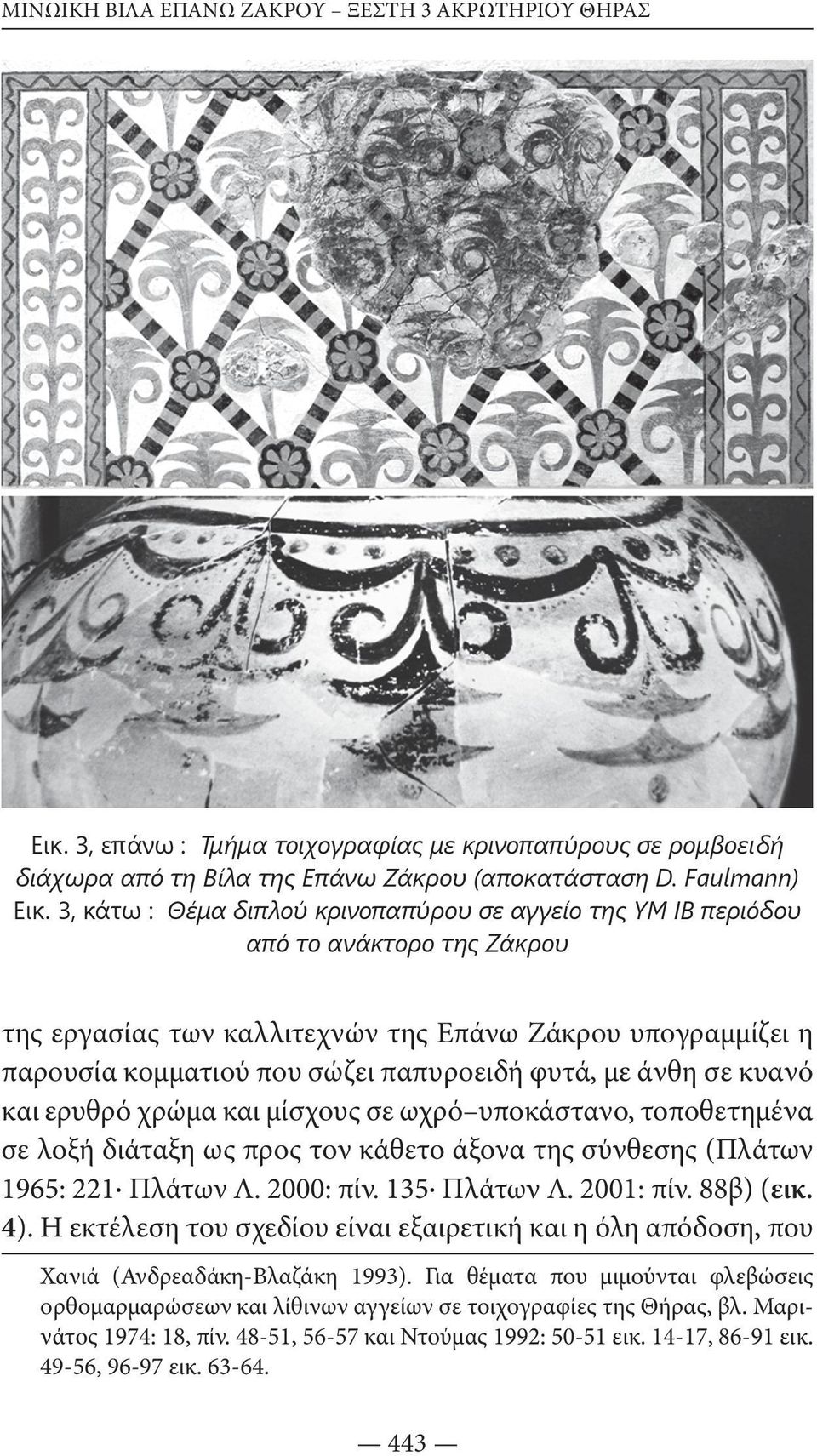 με άνθη σε κυανό και ερυθρό χρώμα και μίσχους σε ωχρό υποκάστανο, τοποθετημένα σε λοξή διάταξη ως προς τον κάθετο άξονα της σύνθεσης (Πλάτων 1965: 221 Πλάτων Λ. 2000: πίν. 135 Πλάτων Λ. 2001: πίν.