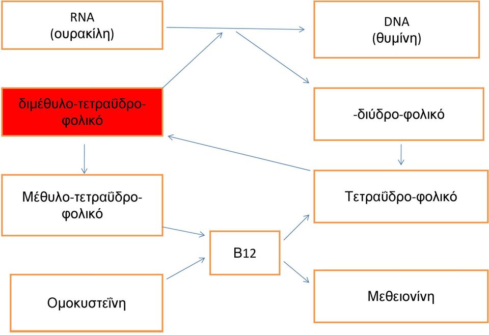 τετραΰδροφολικό Μέθυλο