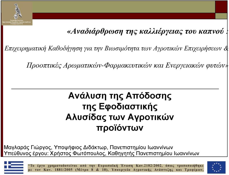 της Απόδοσης της Εφοδιαστικής Αλυσίδας των Αγροτικών προϊόντων Μαγλαράς Γιώργος, Υποψήφιος