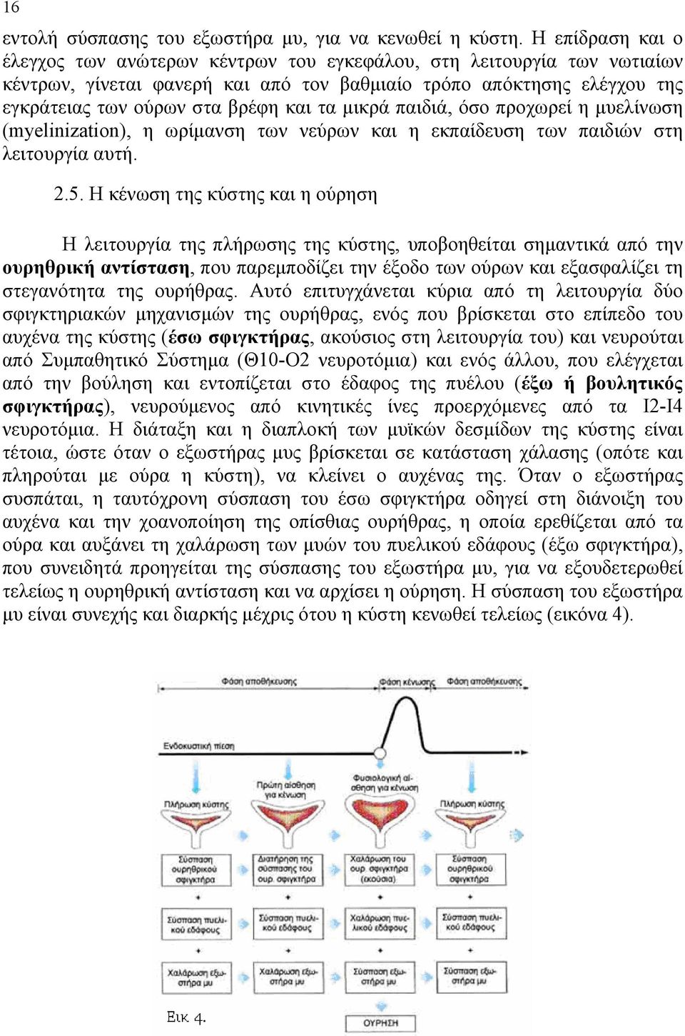 μικρά παιδιά, όσο προχωρεί η μυελίνωση (myelinization), η ωρίμανση των νεύρων και η εκπαίδευση των παιδιών στη λειτουργία αυτή. 2.5.