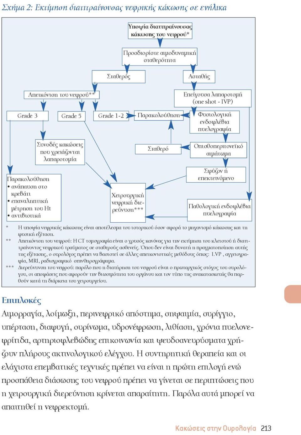 shot - IVP) Grade 5 Grade 1-2 Παρακολούθηση Φυσιολογική ενδοφλέβια πυελογραφία Οπισθοπεριτονεϊκό αιμάτωμα Σφύζον ή επεκτεινόμενο Παθολογική ενδοφλέβια πυελογραφία * Η υποψία νεφρικής κάκωσης είναι