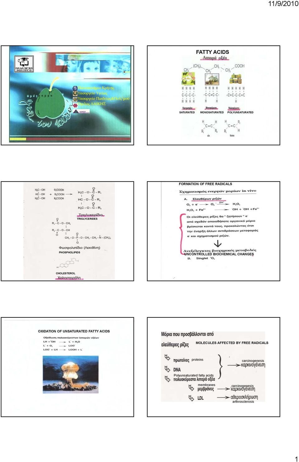 BIOCHEMICAL CHANGES CHOLESTEROL OXIDATION OF UNSATURATED FATTY ACIDS MOLECULES AFFECTED BY FREE