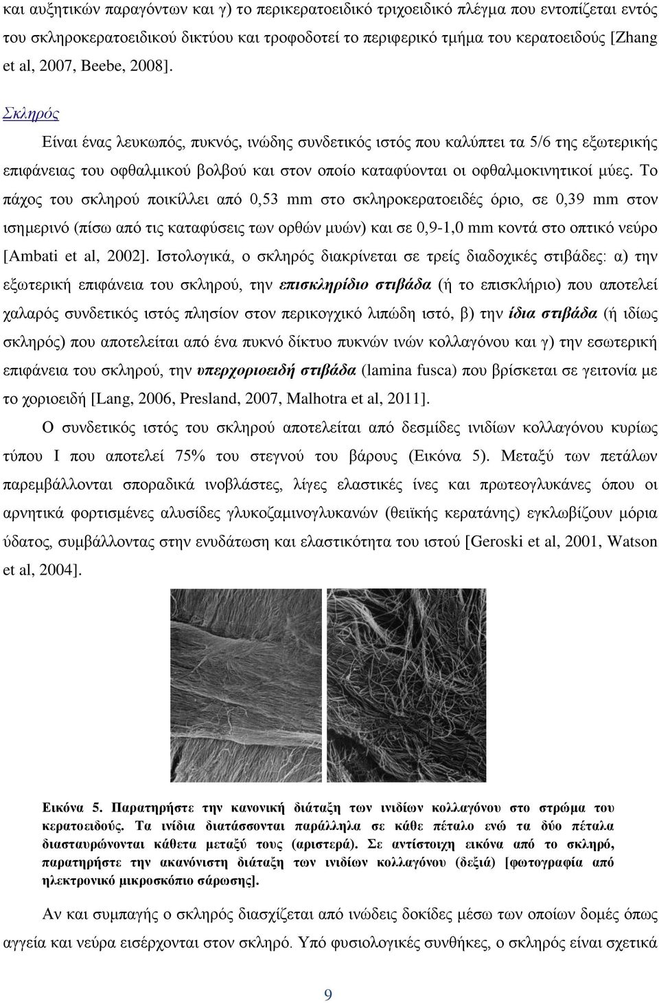 Σν πάρνο ηνπ ζθιεξνχ πνηθίιιεη απφ 0,53 mm ζην ζθιεξνθεξαηνεηδέο φξην, ζε 0,39 mm ζηνλ ηζεκεξηλφ (πίζσ απφ ηηο θαηαθχζεηο ησλ νξζψλ κπψλ) θαη ζε 0,9-1,0 mm θνληά ζην νπηηθφ λεχξν [Ambati et al, 2002].