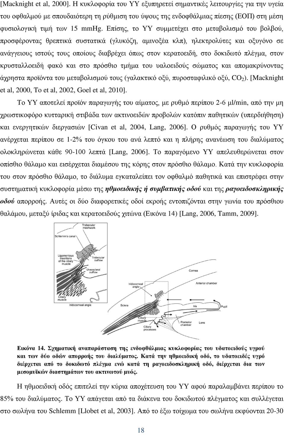 Δπίζεο, ην ΤΤ ζπκκεηέρεη ζην κεηαβνιηζκφ ηνπ βνιβνχ, πξνζθέξνληαο ζξεπηηθά ζπζηαηηθά (γιπθφδε, ακηλνμέα θιπ), ειεθηξνιχηεο θαη νμπγφλν ζε αλάγγεηνπο ηζηνχο ηνπο νπνίνπο δηαβξέρεη φπσο ζηνλ