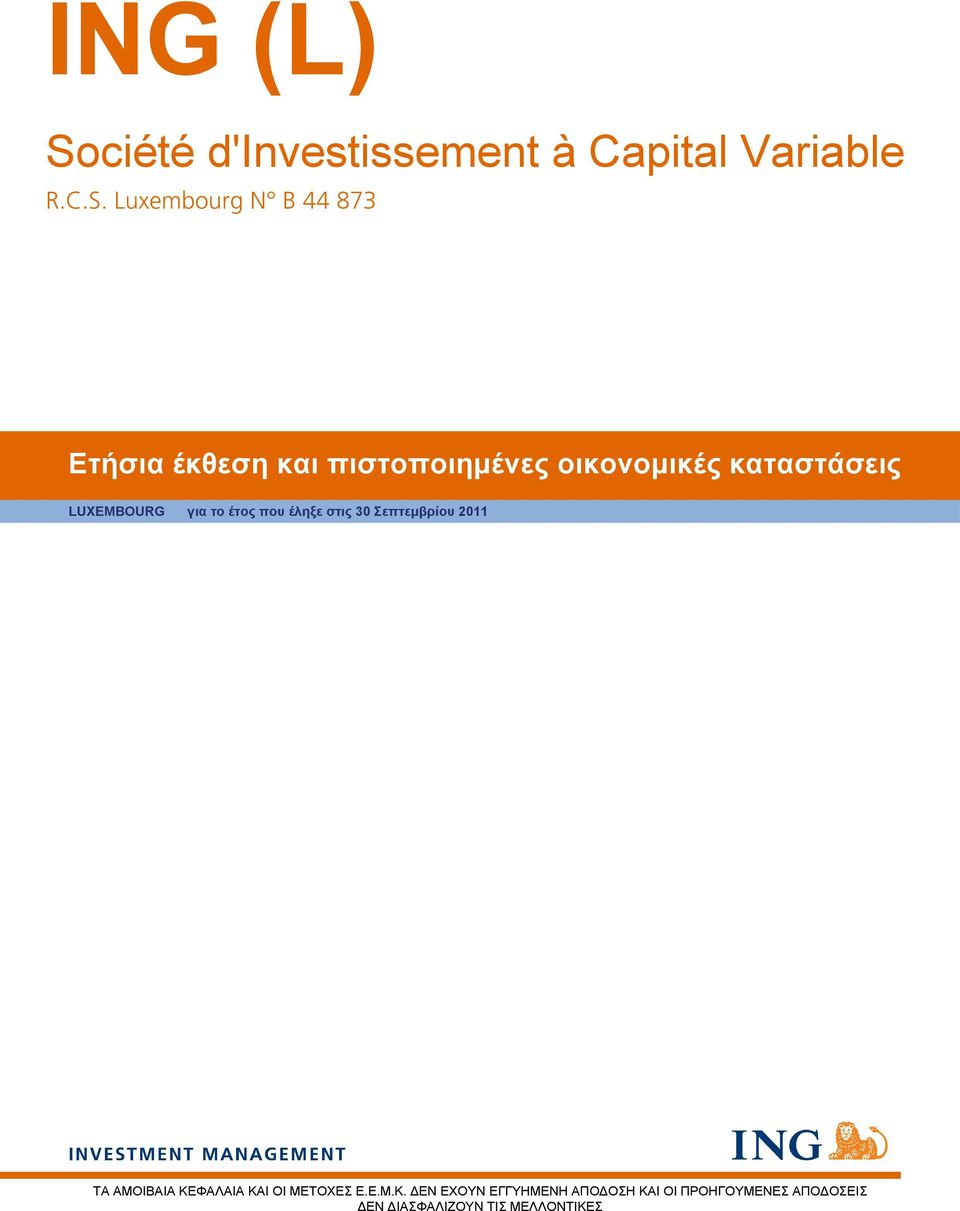Luxembourg N B 44 873 Ετήσια έκθεση και πιστοποιημένες οικονομικές