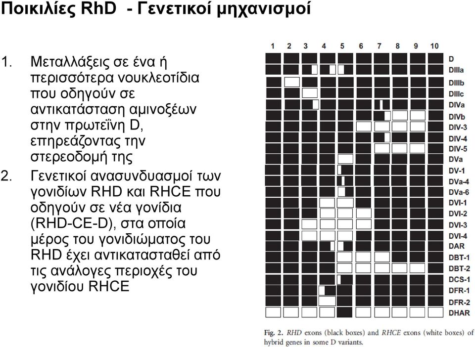 πρωτεΐνη D, επηρεάζοντας την στερεοδομή της 2.