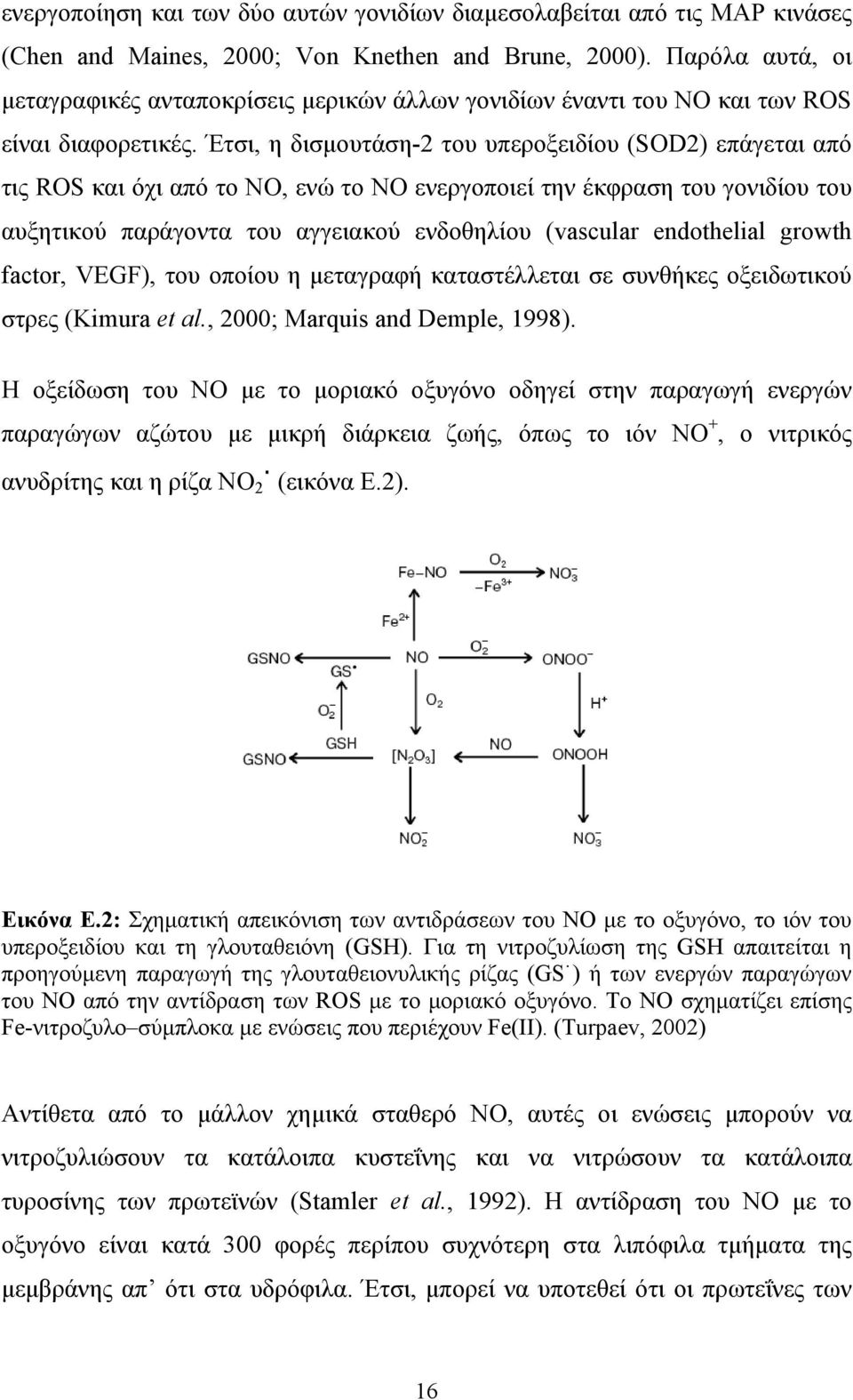 Έτσι, η δισμουτάση-2 του υπεροξειδίου (SOD2) επάγεται από τις ROS και όχι από το ΝΟ, ενώ το NO ενεργοποιεί την έκφραση του γονιδίου του αυξητικού παράγοντα του αγγειακού ενδοθηλίου (vascular