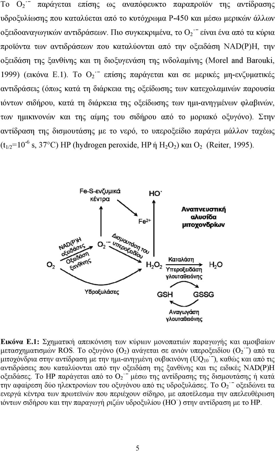 1999) (εικόνα Ε.1).