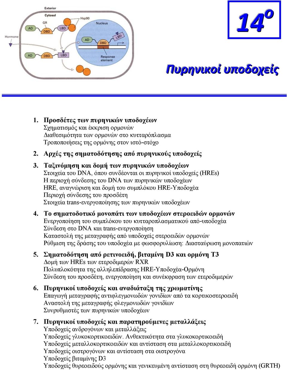 Ταξινόμηση και δομή των πυρηνικών υποδοχέων Στοιχεία του DNA, όπου συνδέονται οι πυρηνικοί υποδοχείς (HREs) Η περιοχή σύνδεσης του DNA των πυρηνικών υποδοχέων HRE, αναγνώριση και δομή του συμπλόκου
