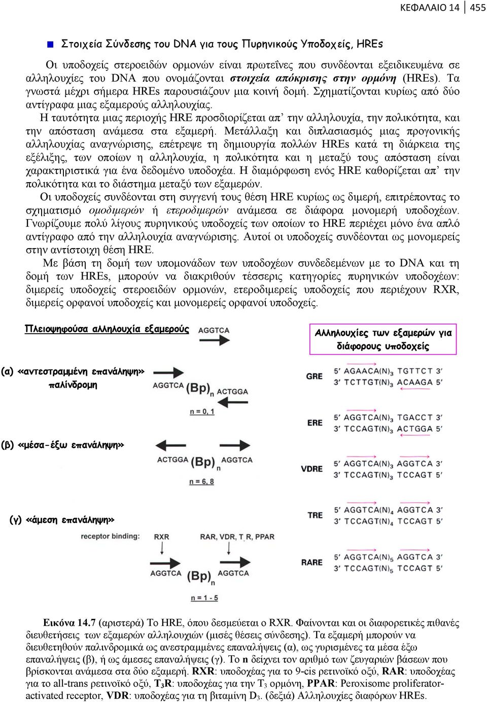 Η ταυτότητα μιας περιοχής HRE προσδιορίζεται απ την αλληλουχία, την πολικότητα, και την απόσταση ανάμεσα στα εξαμερή.