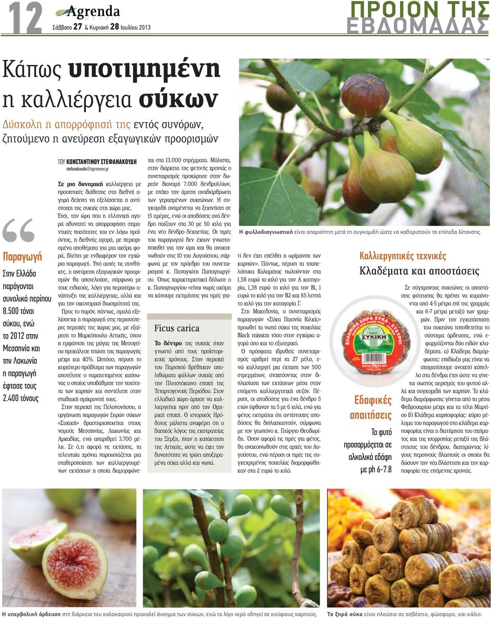 gr Ficus carica Το δέντρο της συκιάς ήταν γνωστό από τους προϊστορικούς χρόνους. Στην περιοχή του Παρισιού βρέθηκαν απολιθώματα φύλλων συκιάς από την Πλειστόκαινο εποχή της Τεταρτογενούς Περιόδου.