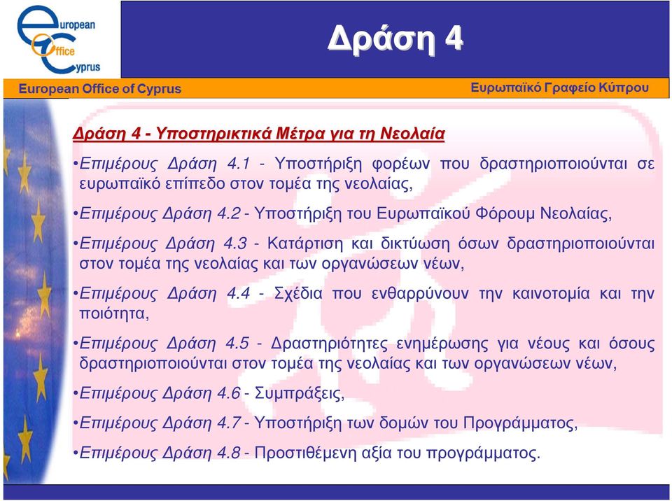 3 - Κατάρτιση και δικτύωση όσων δραστηριοποιούνται στον τοµέα της νεολαίας και των οργανώσεων νέων, Επιµέρους ράση 4.