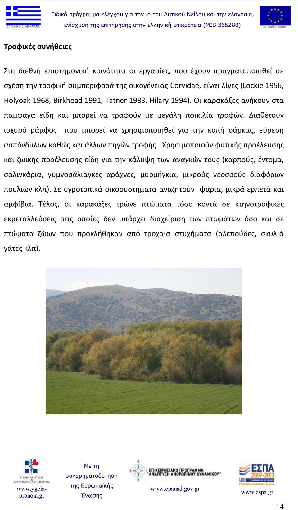 Διαθέτουν ισχυρό ράμφος που μπορεί να χρησιμοποιηθεί για την κοπή σάρκας, εύρεση ασπόνδυλων καθώς και άλλων πηγών τροφής.