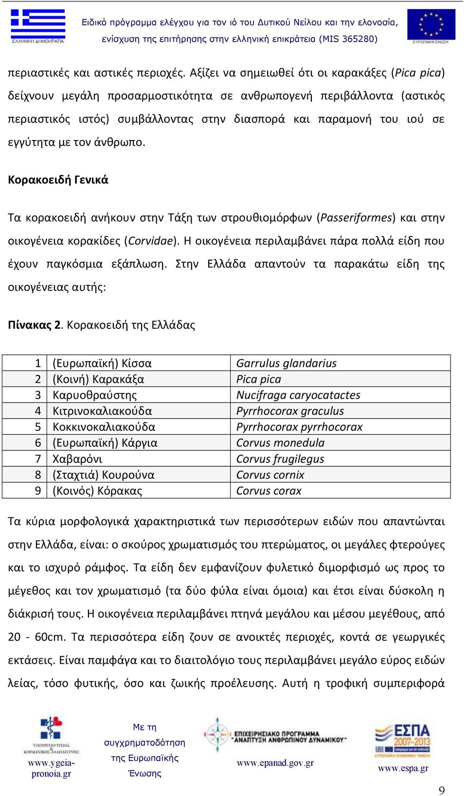 με τον άνθρωπο. Κορακοειδή Γενικά Τα κορακοειδή ανήκουν στην Τάξη των στρουθιομόρφων (Passeriformes) και στην οικογένεια κορακίδες (Corvidae).