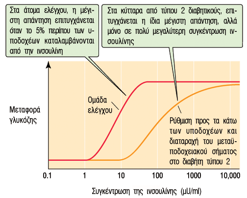 Ρύθµιση των υποδοχέων της ινσουλίνης Πρόσληψη γλυκόζης από τα λιποκύτταρα φυσιολογικών ατόµων και ατόµων µε ΣΔ Τα κύτταρα που εκτίθενται χρόνια σε υψηλές συγκεντρώσεις ινσουλίνης έχουν λιγότερους