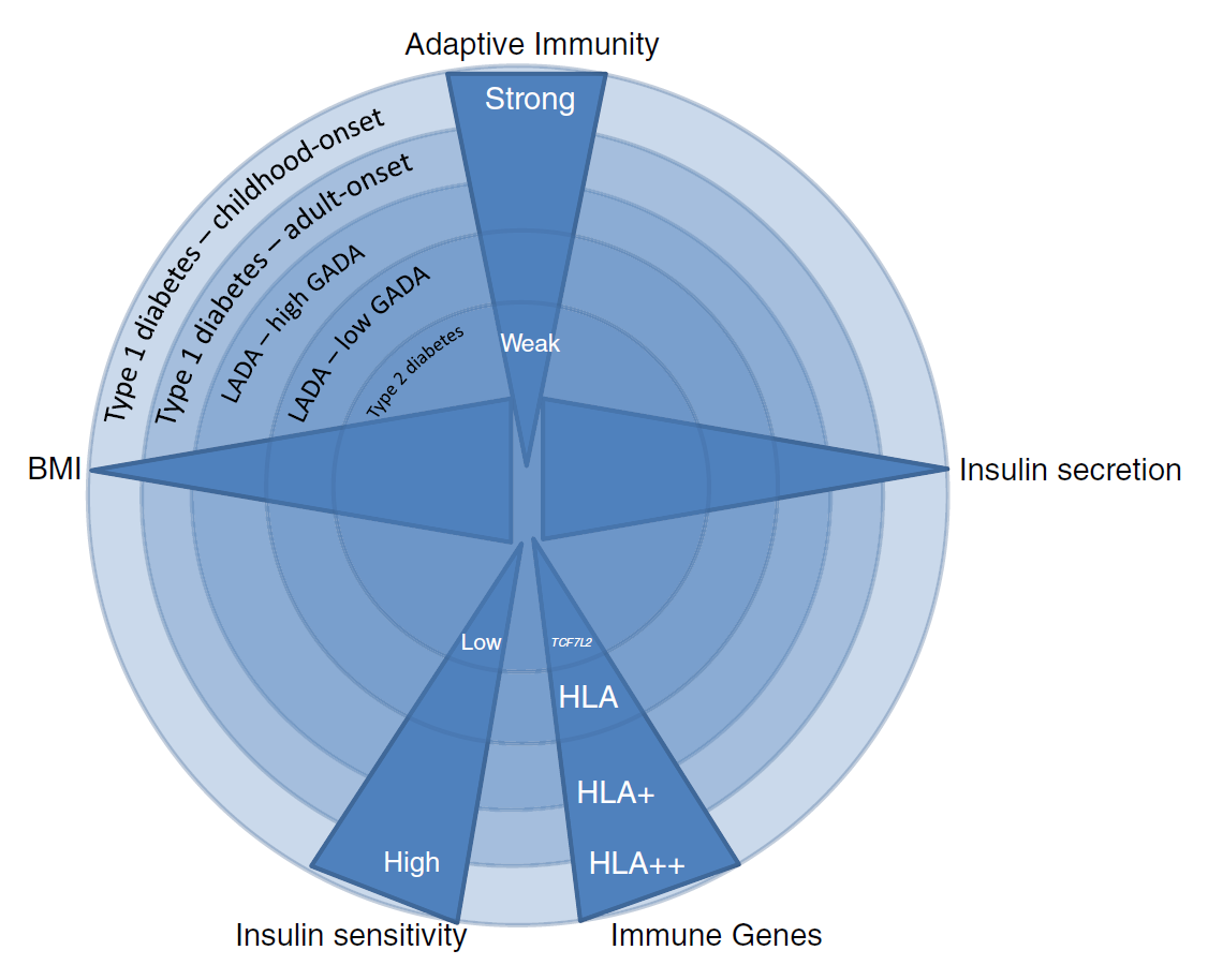 Should There be Concern About Autoimmune Diabetes in Adults?