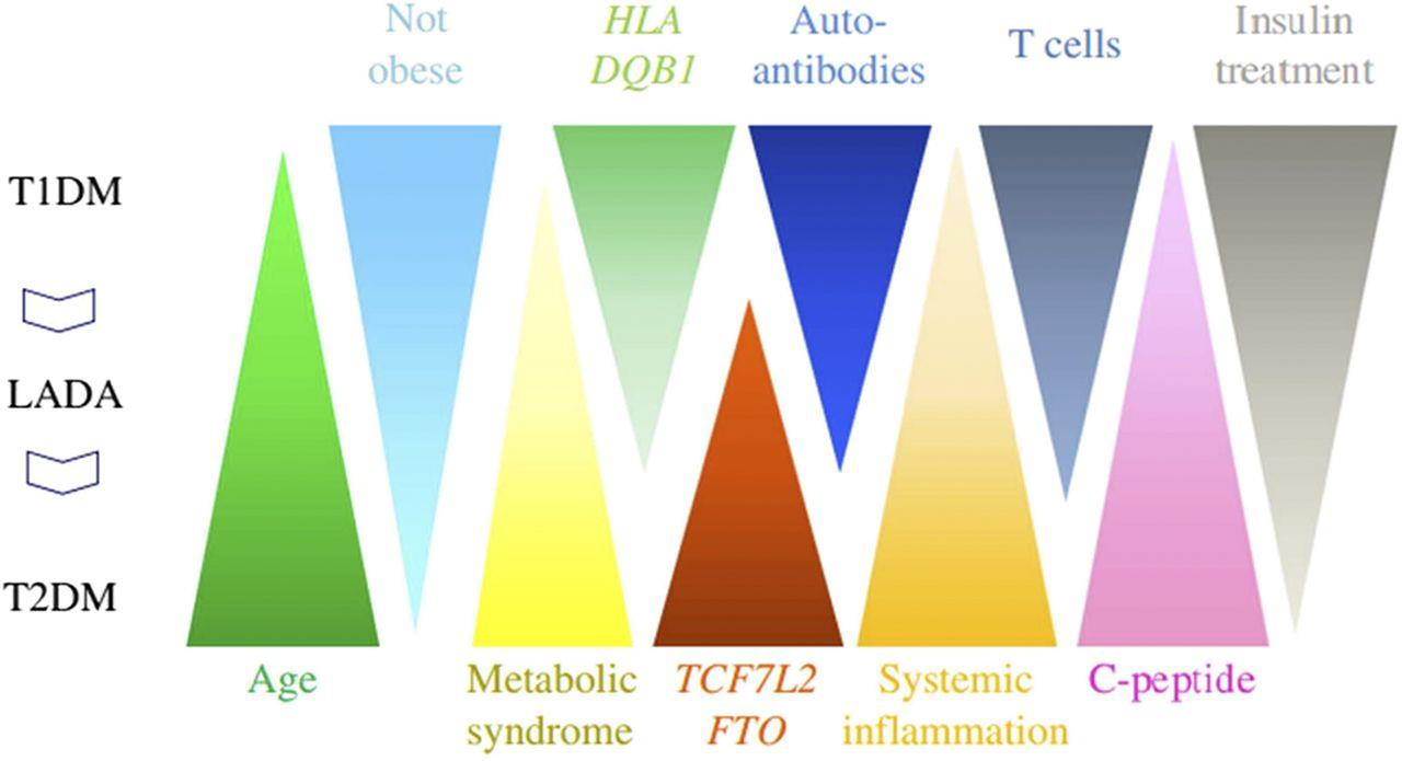 Qualitative illustration of the spectrum of factors associated with
