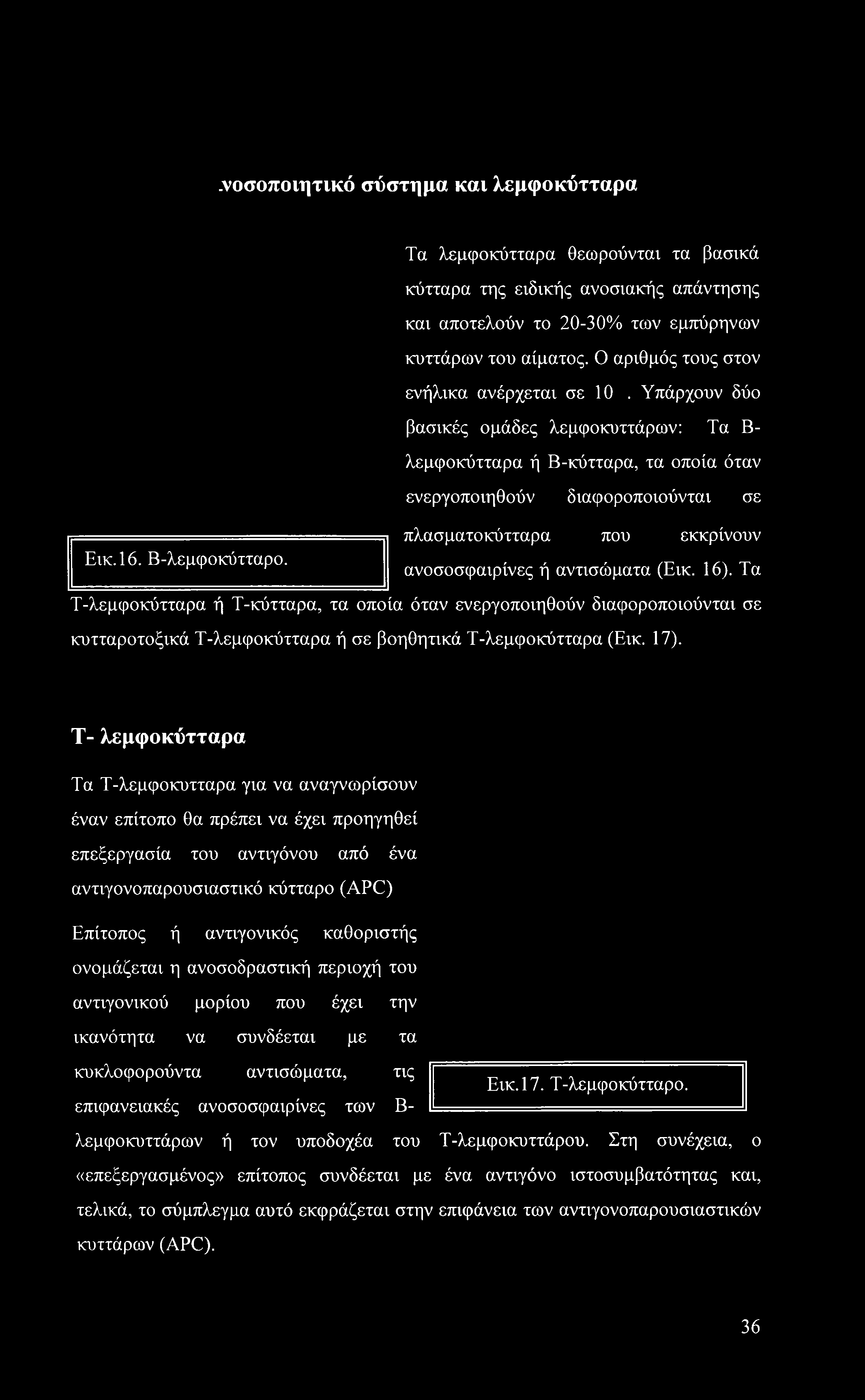 .νοσοποιητικό σύστημα και λεμφοκύτταρα Τα λεμφοκύτταρα θεωρούνται τα βασικά κύτταρα της ειδικής ανοσιακής απάντησης και αποτελούν το 20-30% των εμπύρηνων κυττάρων του αίματος.