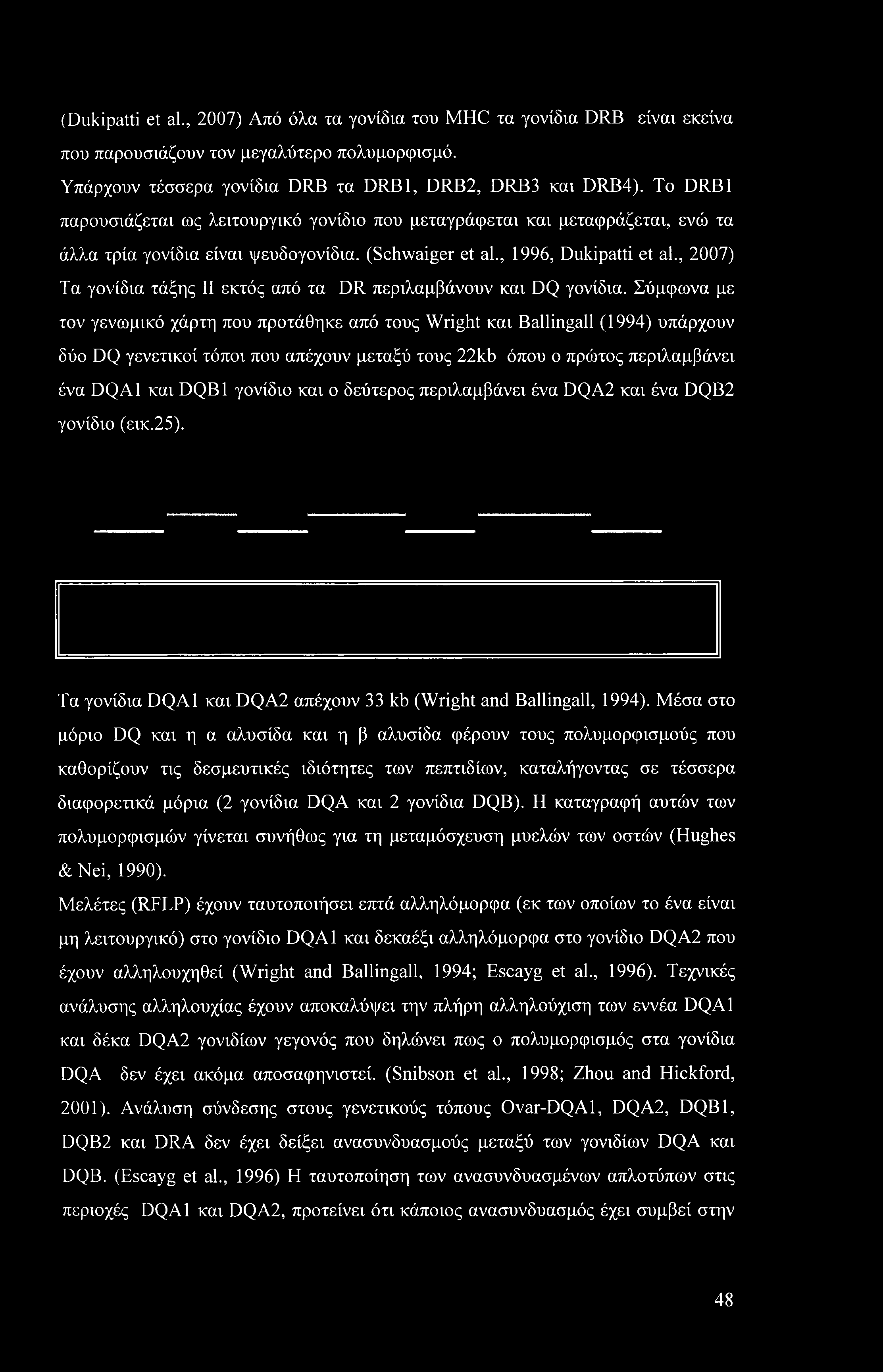 (Dukipatti et al., 2007) Από όλα τα γονίδια του MHC τα γονίδια DRB είναι εκείνα που παρουσιάζουν τον μεγαλύτερο πολυμορφισμό. Υπάρχουν τέσσερα γονίδια DRB τα DRB1, DRB2, DRB3 και DRB4).