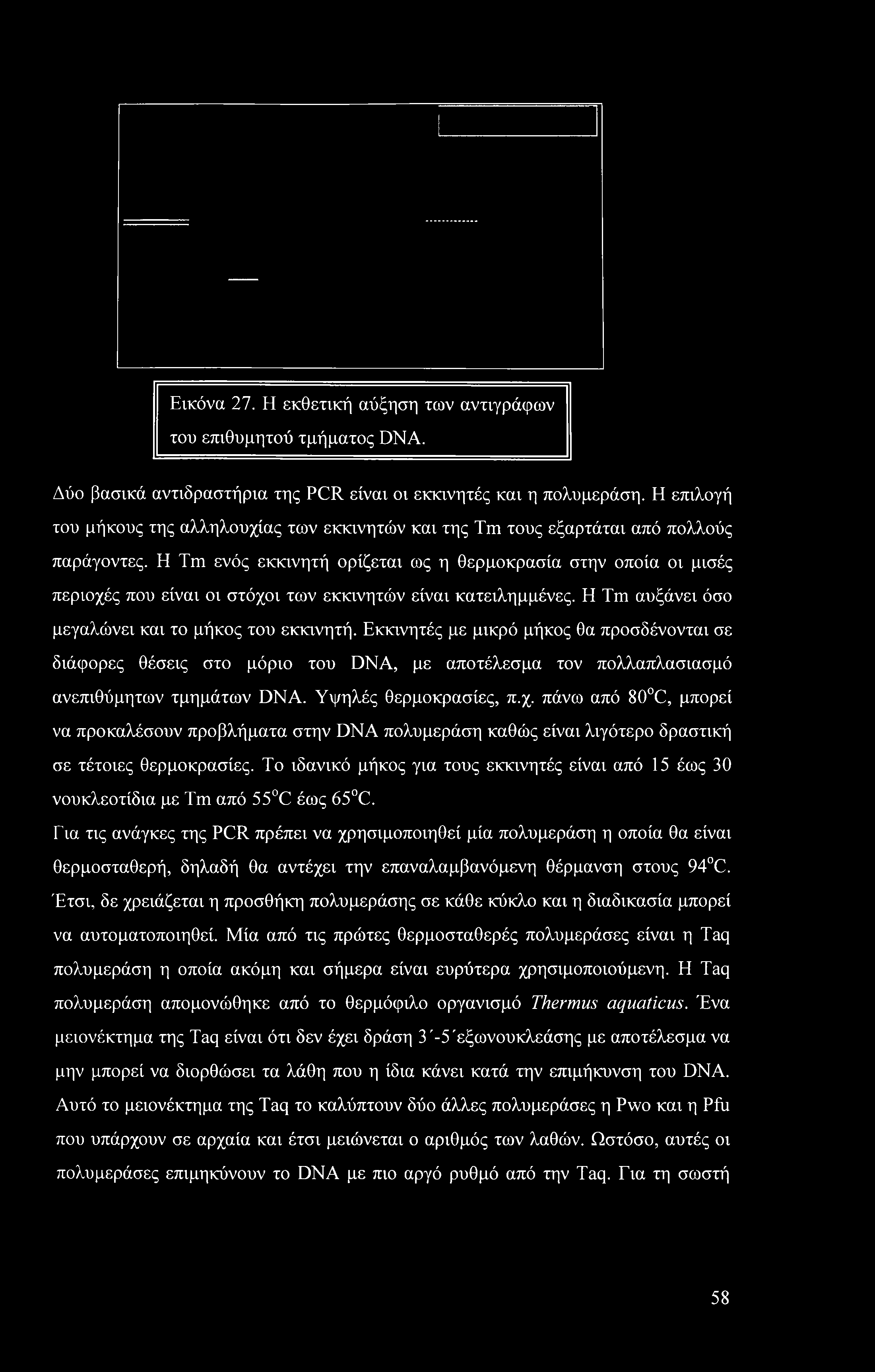 Εικόνα 27. Η εκθετική αύξηση των αντιγράφων του επιθυμητού τμήματος DNA. Δύο βασικά αντιδραστήρια της PCR είναι οι εκκινητές και η πολυμεράση.