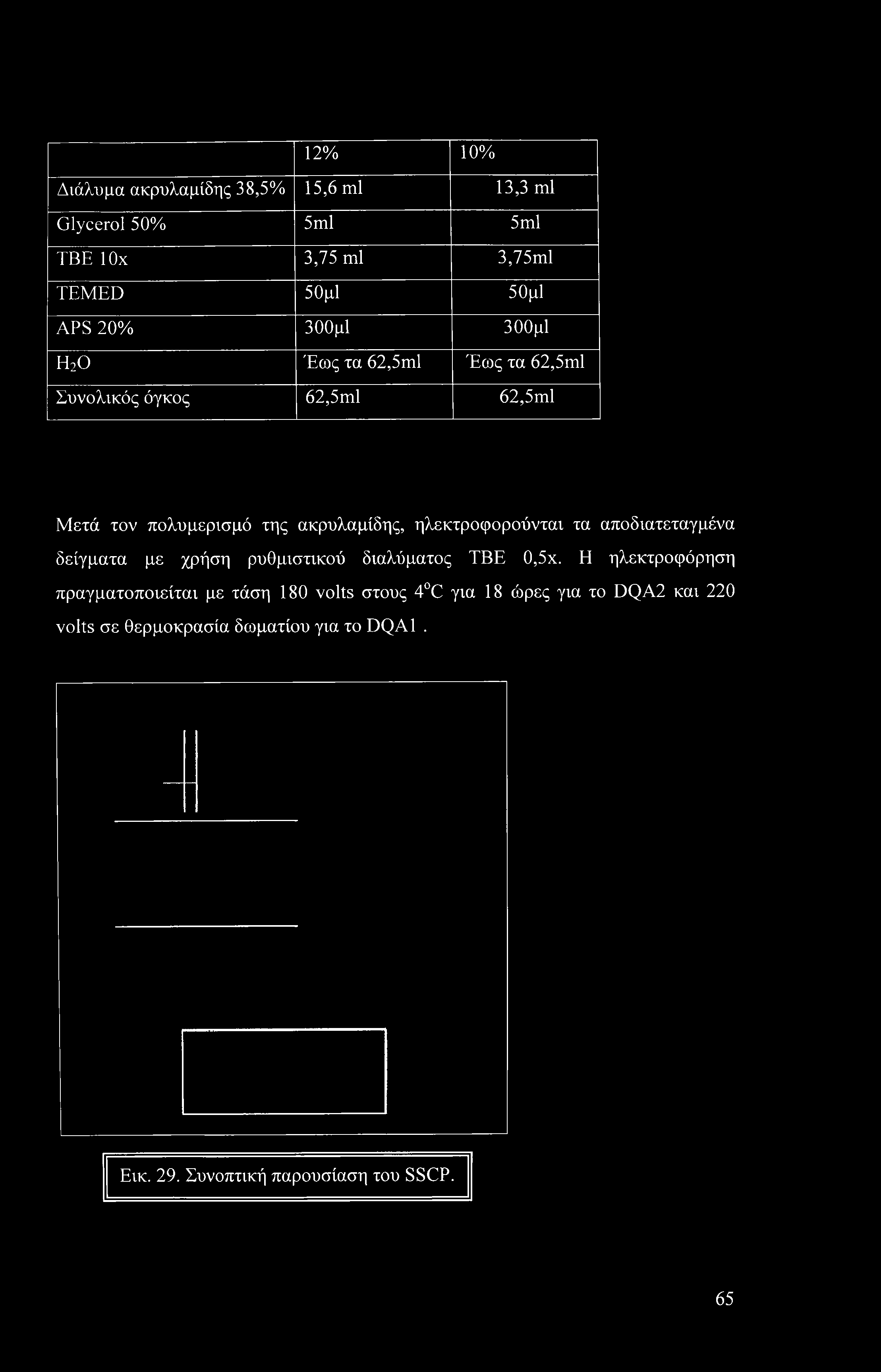 12% 10% Διάλυμα ακρυλαμίδης 38,5% 15,6 ml 13,3 ml Glycerol 50% 5ml 5 ml ΤΒΕ ΙΟχ 3,75 ml 3,75ml TEMED 50μ1 50μ1 APS 20% 300μ1 300μ1 Η20 Έως τα 62,5ml Έως τα 62,5ml Συνολικός όγκος 62,5ml 62,5ml Μετά