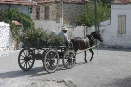 14. dan, sobota, 08.09.2007 vendar je zaprta. Odpeljeva se naprej po cesti ob obali.