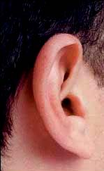 ΦΕ 5: ΑΝΘΡΩΠΟΣ ΚΑΙ ΗΧΟΣ - ΤΟ ΑΦΤΙ ΜΑΣ Μετά την όραση, η ακοή είναι η βασικότερη αίσθηση με την οποία αντιλαμβανόμαστε το περιβάλλον και