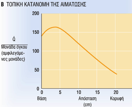 την ϐρθια θϋςη η αιμϊτωςη (Q) εύναι μεγαλϑτερη κοντϊ ςτισ βϊςεισ των πνευμϐνων ενώ πϋφτει ςε χαμηλϋσ τιμϋσ κοντϊ ςτην κορυφό (ςτϊςη ςώματοσ και βαρύτητα).