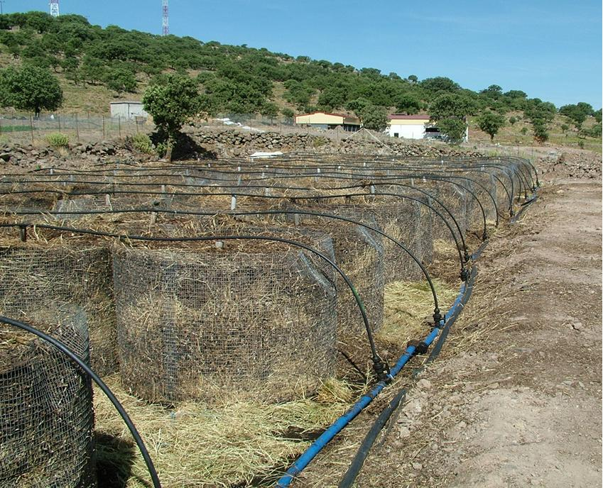 Φορέας Υλοποίησης Η παρούσα εγκατάσταση επεξεργάζεται 25.