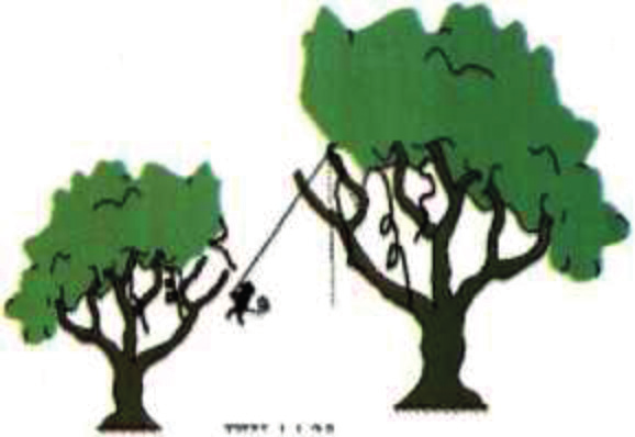 214 χαρά (Εικ. 19), ένας πίθηκος που χρησιμοποιεί ένα χορτόσκοινο (Εικ. 20) για να περάσει από ένα δέντρο στο διπλανό του. Για ν αποδείξουμε, τώρα, ότι η ταλάντωση ενός απλού εκκρεμούς είναι Γ.Α.Τ.