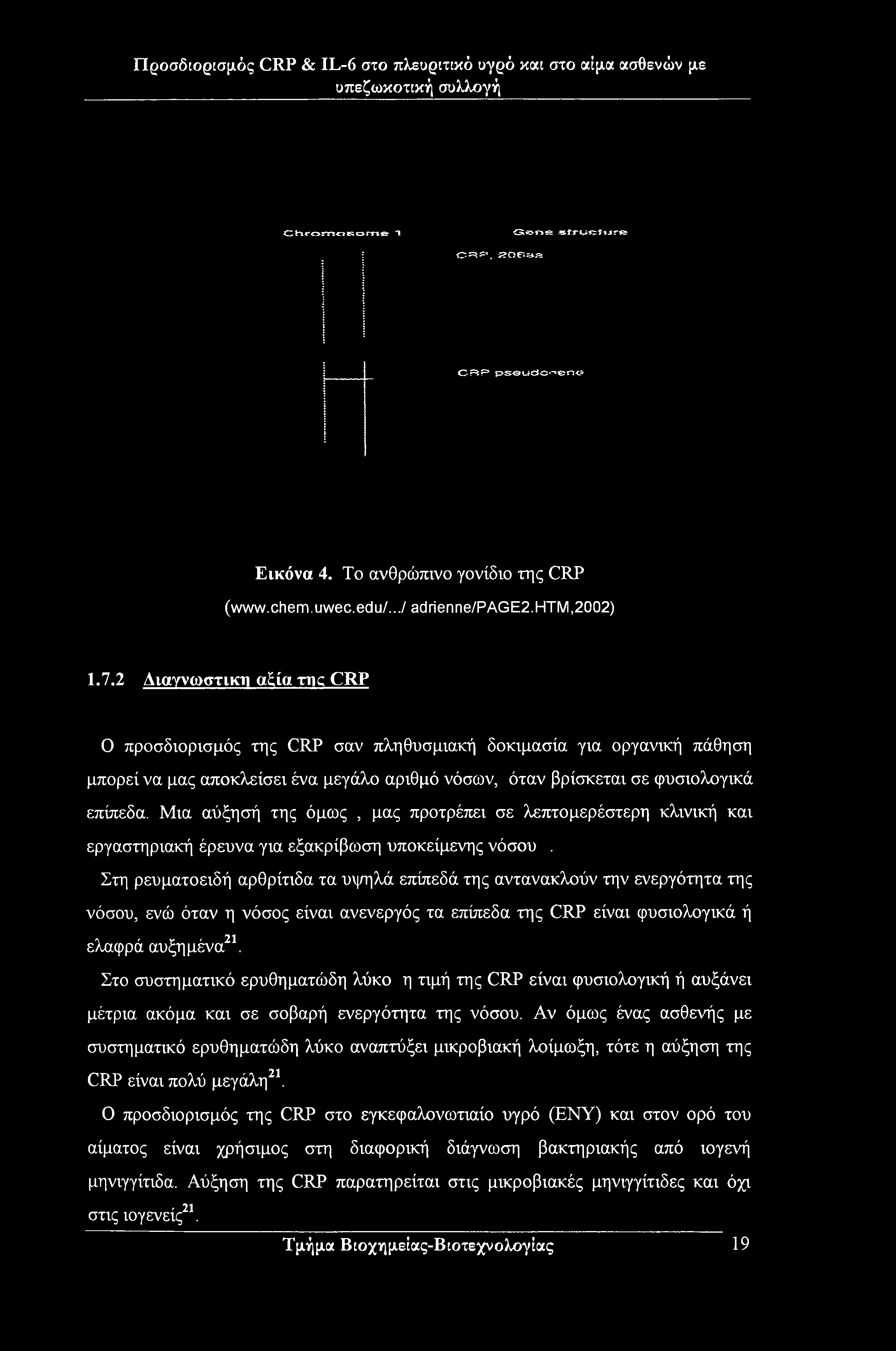 C hromois ο me 1 Gene «trwctur» Ο *=**=*. J?OPi»a CRP pseudc-'-eno Εικόνα 4. To ανθρώπινο γονίδιο της CRP (www.chem. uwec.edu/.../ adrienne/page2.htm,2002) 1.7.