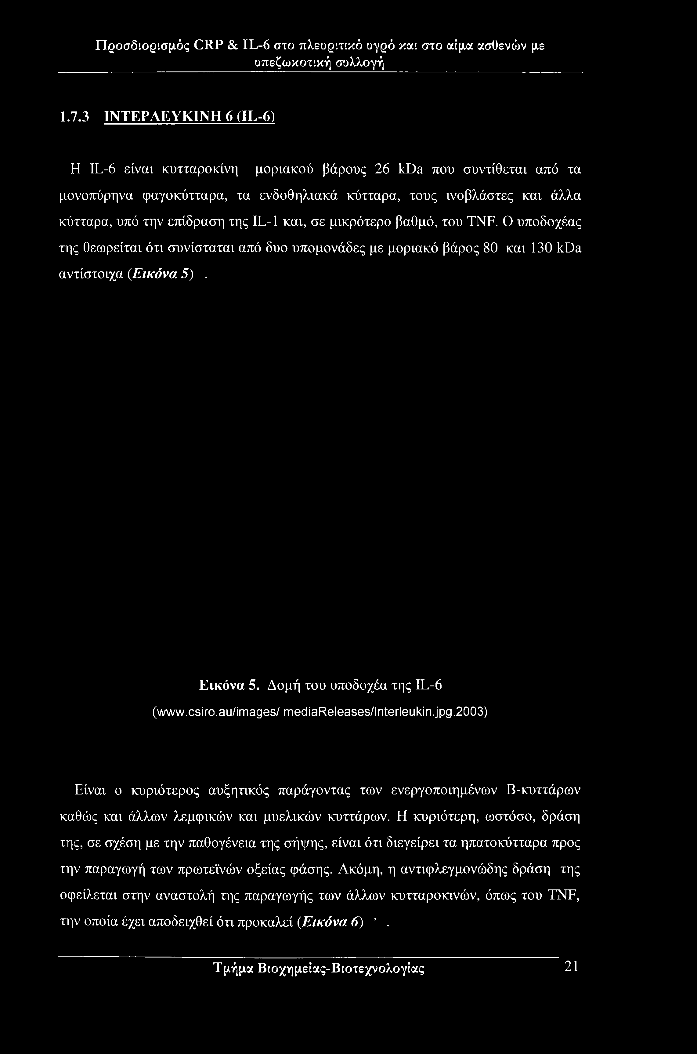 1.7.3 ΙΝΤΕΡΛΕΥΚΙΝΗ 6 (IL-6) Η IL-6 είναι κυτταροκίνη μοριακού βάρους 26 kda που συντίθεται από τα μονοπύρηνα φαγοκύτταρα, τα ενδοθηλιακά κύτταρα, τους ινοβλάστες και άλλα κύτταρα, υπό την επίδραση