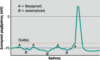 Φυσιολογία του Ανθρώπου. 8 η Εκδοση. Vander, Sherman, Luciano, Τσακόπουλος. Εκδόσεις Πασχαλίδη 2001.