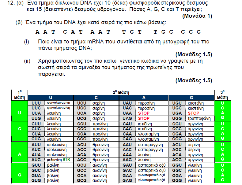 2006 ΜΕΡΟΣ Β ΑΣΚΗΣΗ 7 3. α. Τα νουκλεοτίδια με τις βάσεις UGUACGAUCAAUGGU βρίσκονται στο μέσο περίπου ενός μορίου mrna.