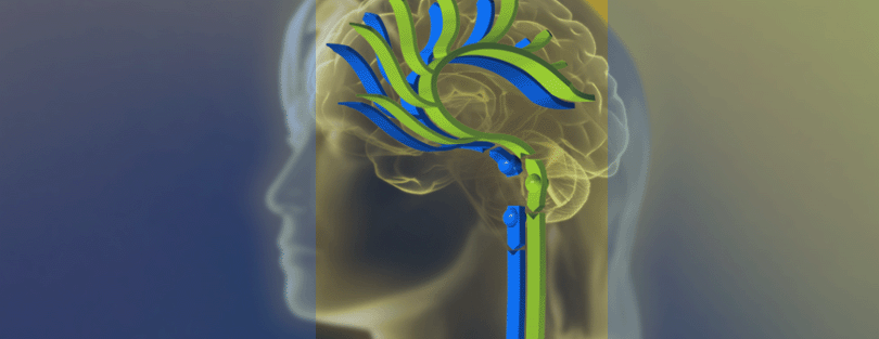 Serotonin 5-HT 5 in noradrenalin NA v možganih Prefrontalni korteks Limbični sistem n.