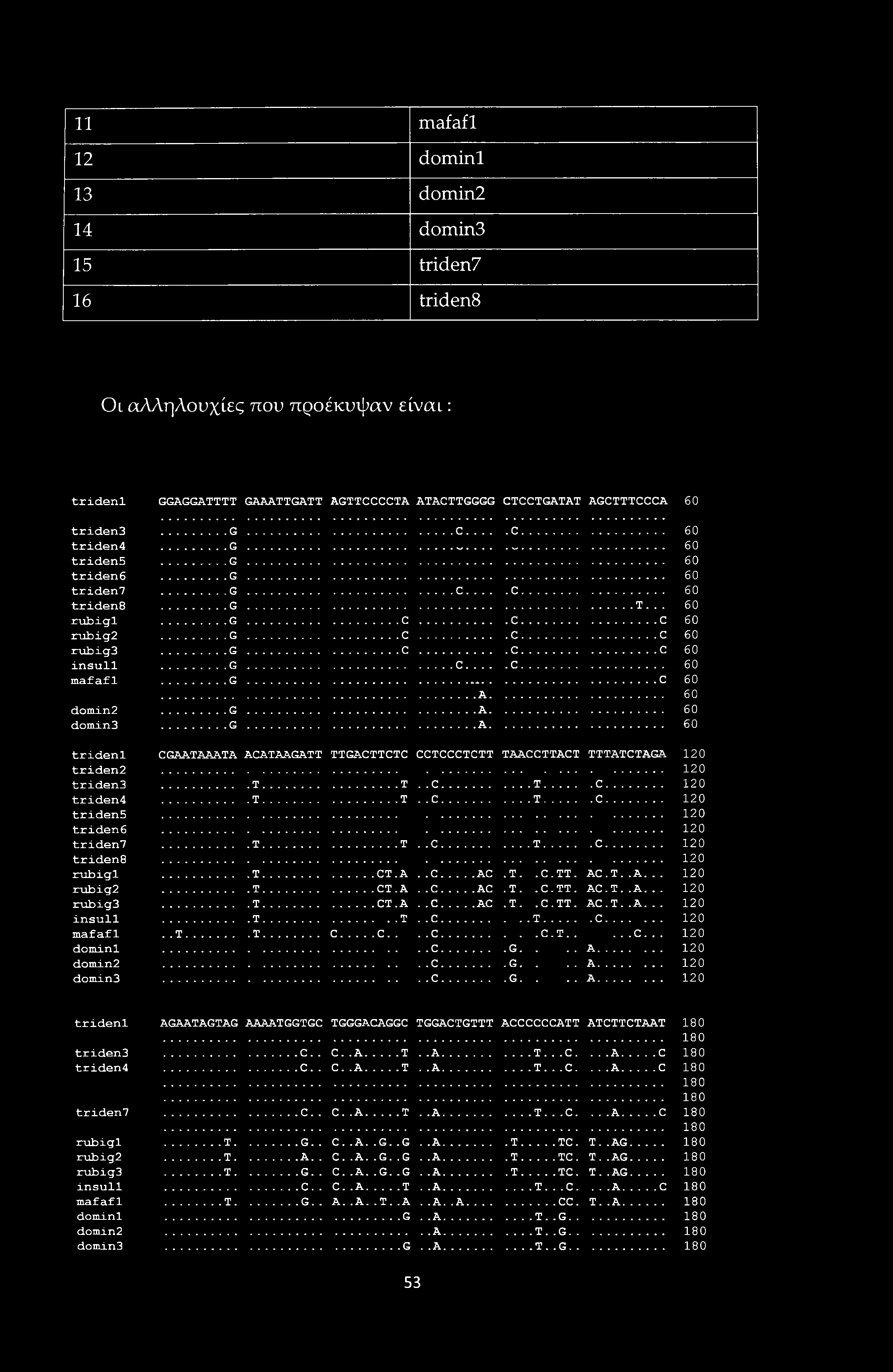 11 mafafl 12 dominl 13 domin2 14 domin3 15 triden7 16 triden8 Ol αλληλουχίες που προέκυψαν είναι: trideni GGAGGATTTT GAAATTGATT AGTTCCCCTA ATACTTGGGG CTCCTGATAT AGCTTTCCCA 60 triden3... G.c....C. 60 triden4.