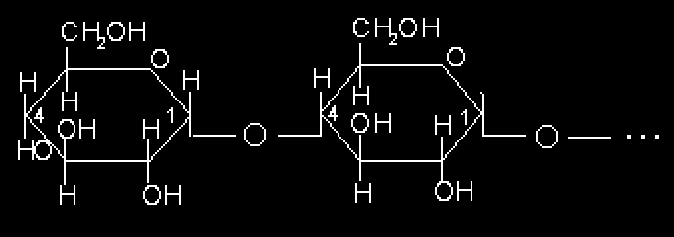 ЛЕКЦ 13 Полисахарид Нэг төрлийн буюу гомополисахарид эсвэл өөр өөр төрлийн гетерополисахарид монозын үлдэгдлээс тогтсон, байгальд фотосинтезээр үүсдэг өндөр молекулт нүүрс усыг полисахарид (буюу