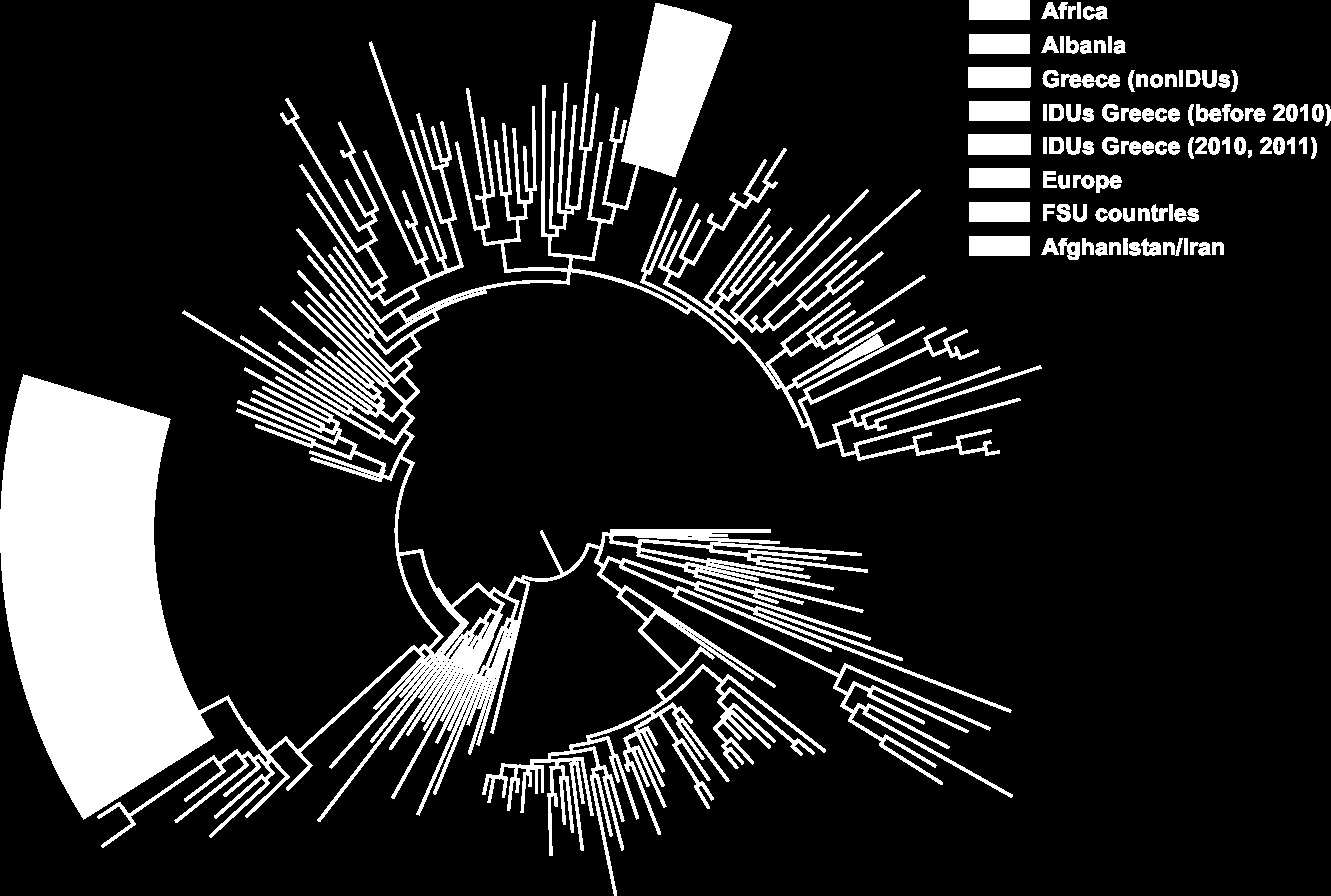 Subtype A (partial tree)