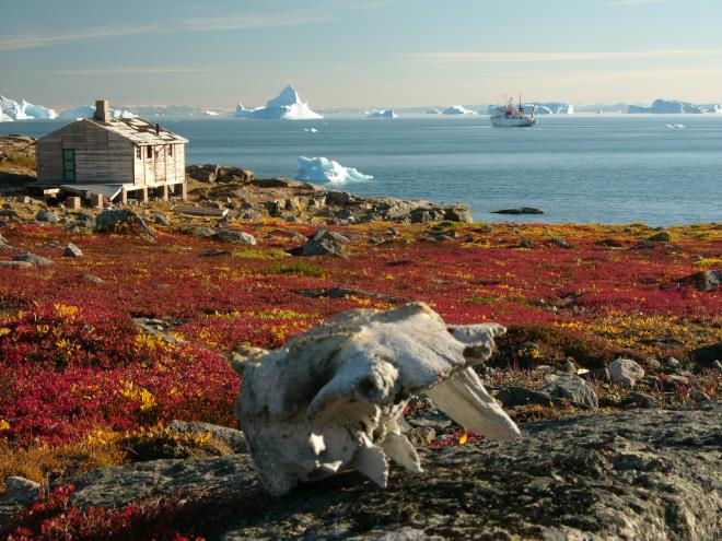 Arctic Τα φυτά επιβιώνουν σε όλον τον πλανήτη Mountain Antarctic Desert Photo credits: Hannes Grobe, AWI;