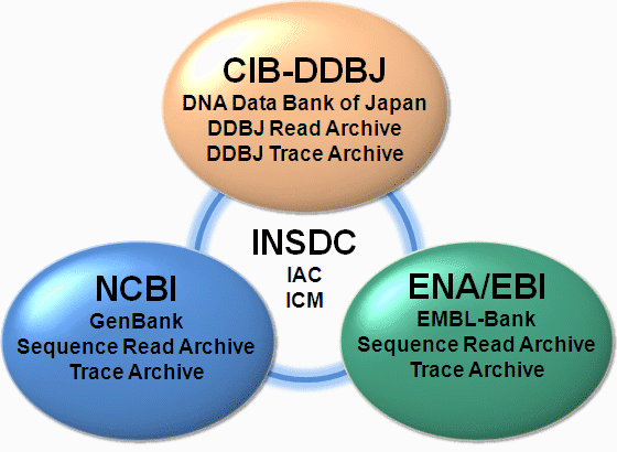 Βάσεις νουκλεοτιδικών δεδοµένων (ι) Αρχειακές ΒΔ για νουκλεοτιδικές αλληλουχίες: EMBL-BANK. European Nucleotide Archive (ENA), EBI. Hinxton, UK. GENBANK. NCBI, NIH.