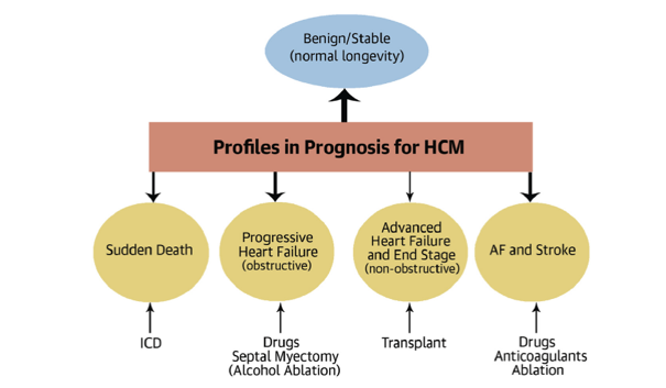 BROAD HCM CLINICAL