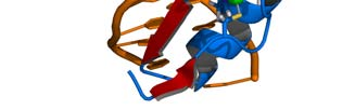 1.1.3 Krüpel-Like Factors Η οικογένεια των μεταγραφικών παραγόντων Sp1/Krüpel-Like Factor (KLF) ανήκει στην υπερκατηγορία παραγόντων με βασικό μοτίβο περιοχής σύνδεσης στο DNA τύπου «Δακτυλίου